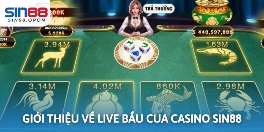 Giới thiệu về sân chơi live bầu cua casino sin88